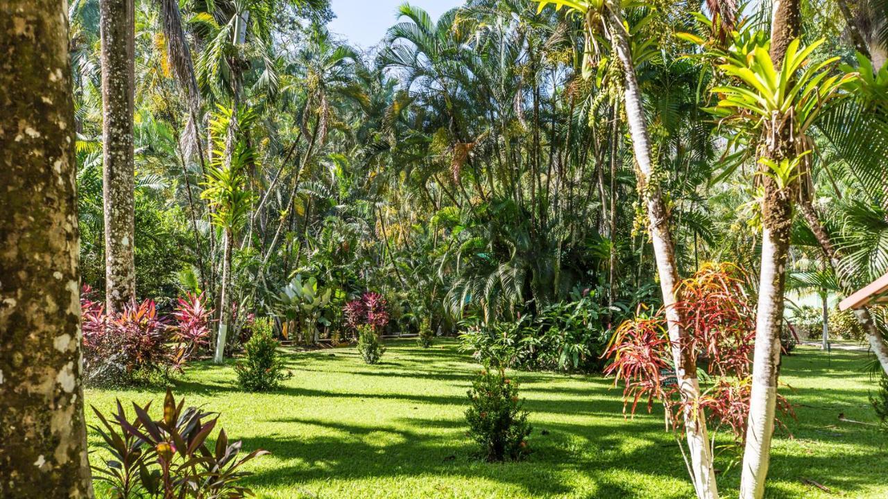 Hotel Villas Rio Mar Dominical Exterior photo